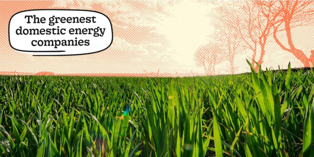 Greenest Energy Suppliers in the UK